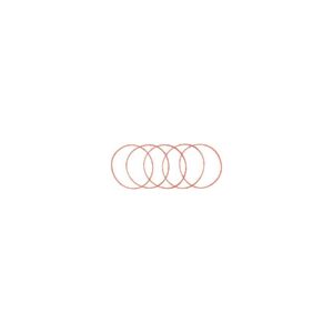 Derby Cover O-Ring Pack 5
