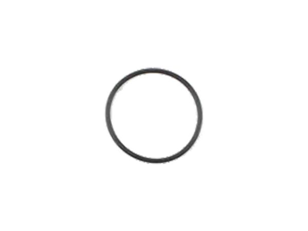 Starter to Case O-Ring Each 1