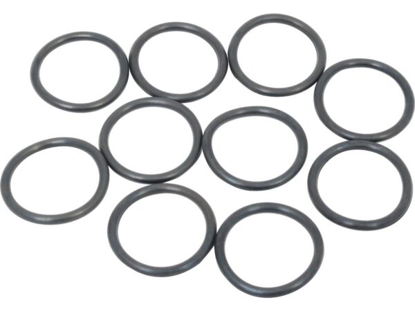 Lower Pushrod Cover O-Ring Pack 10