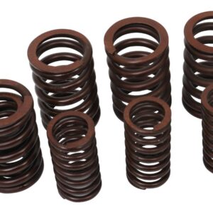 Valve Spring Kit Set of 4 Inner and Outer Valve Springs