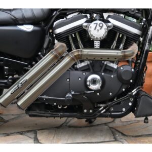 Firestarter Exhaust System , Raw Hole Heat Shield, Black Smooth Endcap, Outline 2,5"