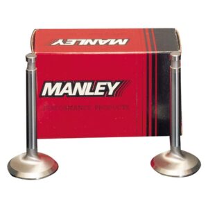 Race Master Intake Valve